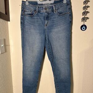 Torrid Jeans